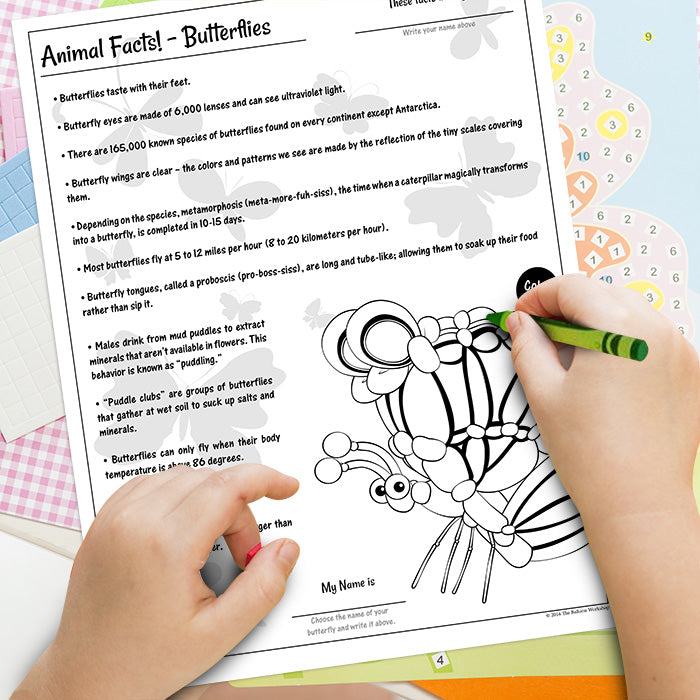 Animal Facts! - Butterflies