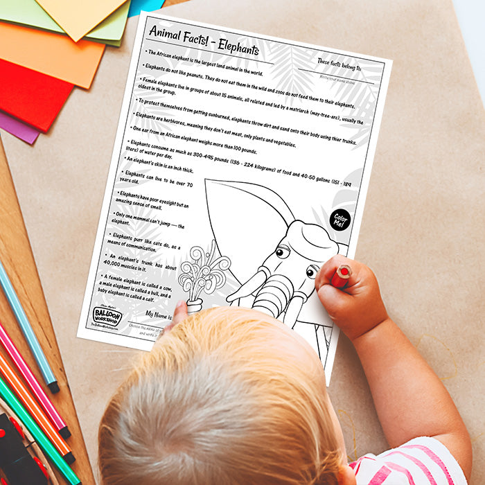 Animal Facts! – Elephants