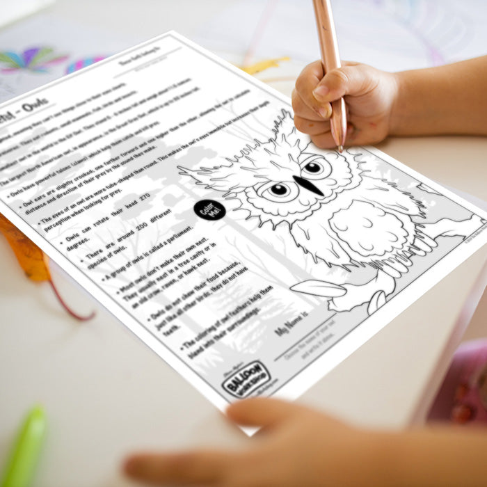 Animal Facts! – Owls