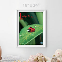 Balloon Lady Bug Poster