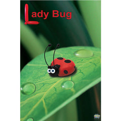 Balloon Lady Bug Poster